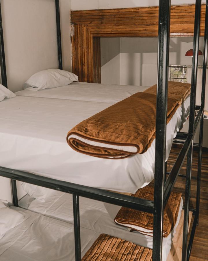 Wild Monkey Hostel كوينكا المظهر الخارجي الصورة