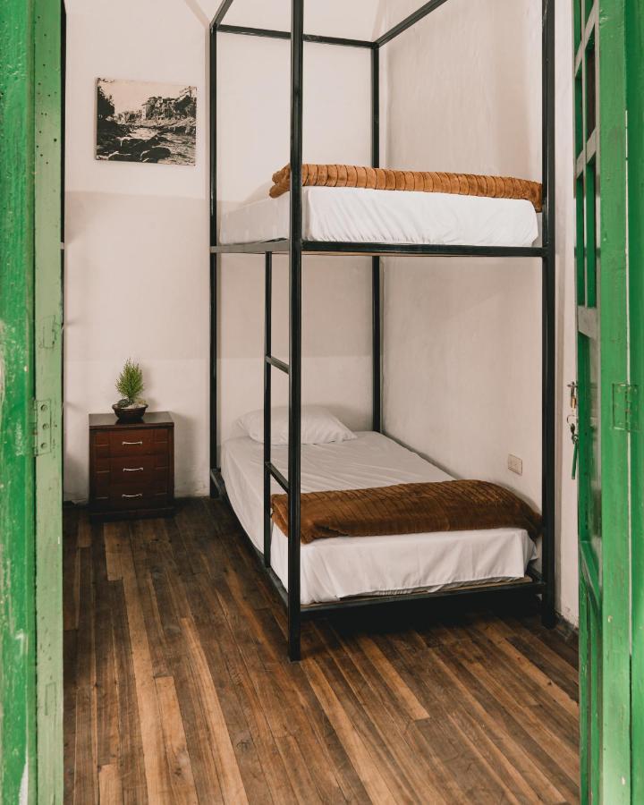 Wild Monkey Hostel كوينكا المظهر الخارجي الصورة