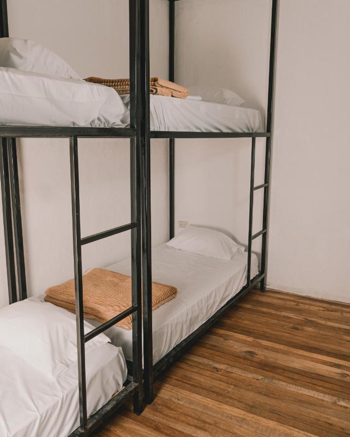 Wild Monkey Hostel كوينكا المظهر الخارجي الصورة