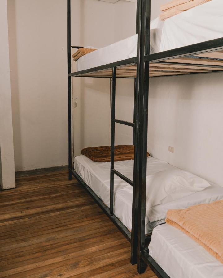 Wild Monkey Hostel كوينكا المظهر الخارجي الصورة