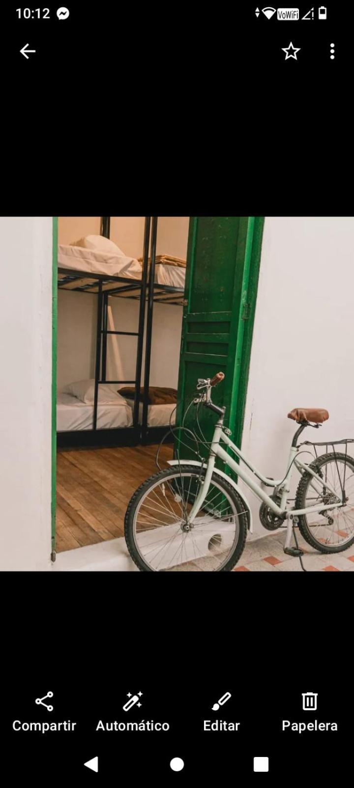Wild Monkey Hostel كوينكا المظهر الخارجي الصورة