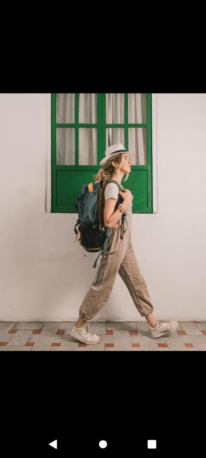 Wild Monkey Hostel كوينكا المظهر الخارجي الصورة